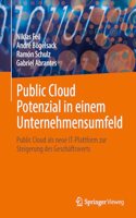 Public Cloud Potenzial in Einem Unternehmensumfeld