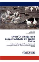 Effect of Vinegarized Copper Sulphate on Broiler Chicks
