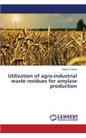 Utilization of Agro-Industrial Waste Residues for Amylase Production