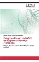 Fragmentacion del Adn de Espermatozoides Humanos