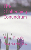 Challenging Conundrum: Maze Puzzle