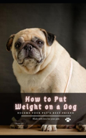 How tо Put Weight on а Dog