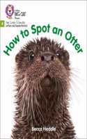 Big Cat Phonics for Little Wandle Letters and Sounds Revised - How to Spot an Otter
