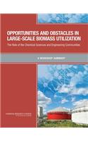 Opportunities and Obstacles in Large-Scale Biomass Utilization