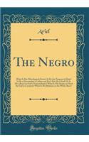 The Negro: What Is His Ethnological Status? Is He the Progeny of Ham? Is He a Descendant of Adam and Eve? Has He a Soul? or Is He a Beast in God's Nomenclature? What Is His Status as Fixed by God in Creation? What Is His Relation to the White Race?