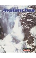 Livewire Investigates Avalanches