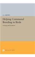Helping Communal Breeding in Birds