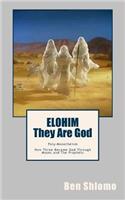 Elohim: They Are God: Poly-Monotheism How Three Became God Through Moses and the Prophets