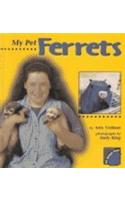 My Pet Ferrets