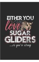 Either You Love Sugar Gliders Or You're Wrong