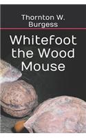 Whitefoot the Wood Mouse