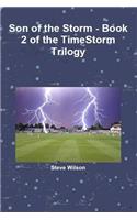 Son of the Storm - The Timestorm Trilogy Book 2: (English)
