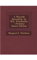 A Wayside Snowdrop. by M.E. Winchester