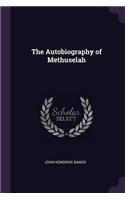 The Autobiography of Methuselah