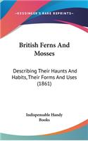 British Ferns And Mosses