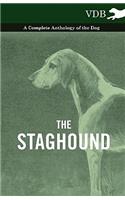 Staghound - A Complete Anthology of the Dog