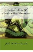 In The Lives Of Snakes And Chameleons