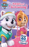 Paw Patrol Pawfect Colouring