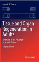 Tissue and Organ Regeneration in Adults