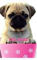 Girl Diary