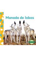 Manada de Lobos (Wolf Pack)