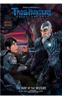 The Way of the Wizard: (5 Trollhunters)