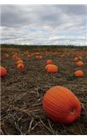 Pumpkin Field Journal