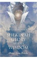 Shekinah Glory Reveals Wisdom