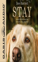 Stay