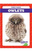 Owlets