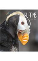 Puffins