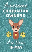 Awesome Chihuahua Owners Are Born In May