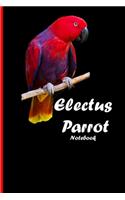 Electus-Parrot Notebook: Beautiful notebook with bird motive. 6"x9" inch(2 Birds)