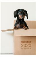 Dachshund Planner: 2020 diary: Increase productivity, improve time management, reach your goals: Cute Dachshund in a box cover