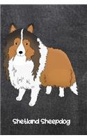Shetland Sheepdog