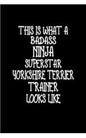 This Is What A Badass Ninja Superstar Yorkshire Terrier Trainer Looks Like
