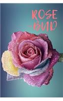 Rose Bud