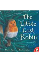 The Little Lost Robin