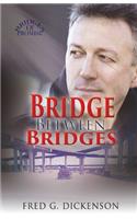 Bridge Between Bridges
