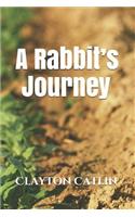 A Rabbit's Journey: (1 Adventures of Emily, and Bam-Bam.)