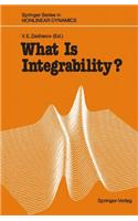 What is Integrability?