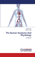 Human Anatomy And Physiology