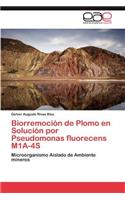 Biorremocion de Plomo En Solucion Por Pseudomonas Fluorecens M1a-4s