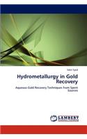 Hydrometallurgy in Gold Recovery