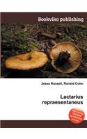 Lactarius Repraesentaneus