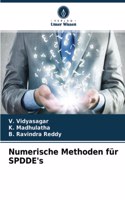 Numerische Methoden für SPDDE's