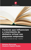 Factores que influenciam o crescimento do dinheiro virtual nas pequenas empresas