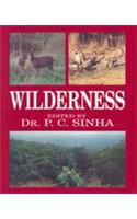 Wilderness