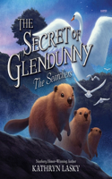 The Secret of Glendunny #2: The Searchers: (2 Secret of Glendunny)
