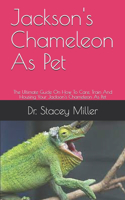 Jackson's Chameleon As Pet